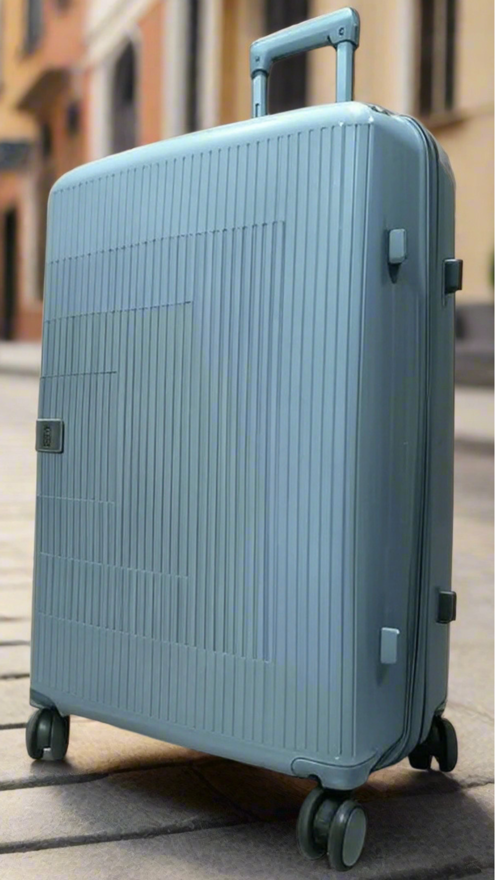 Transit Trolley Luggage Bag